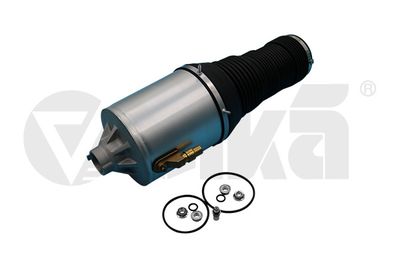 Air Suspension Strut vika 66160001701
