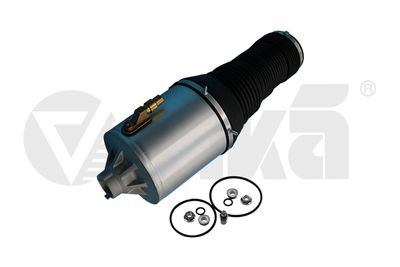 Air Suspension Strut vika 66160001801