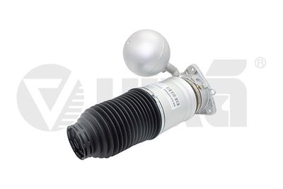 Air Suspension Strut vika 66160001901