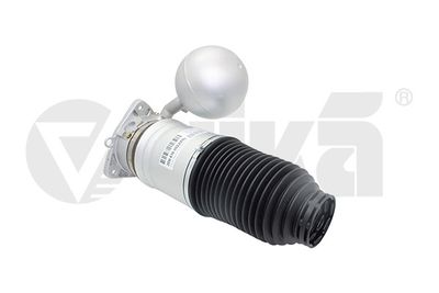 Air Suspension Strut vika 66160002001