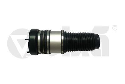 Air Suspension Strut vika 66160002301
