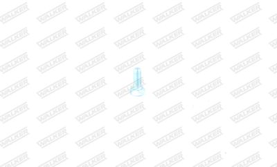Bolt, exhaust system WALKER 80660