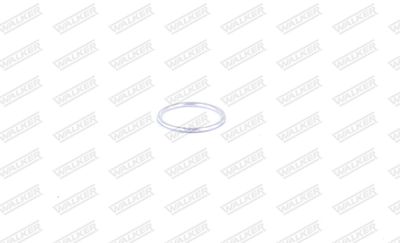 Gasket, exhaust pipe WALKER 81162