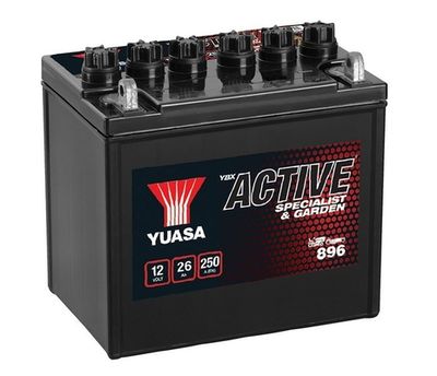 Starter Battery YUASA 896