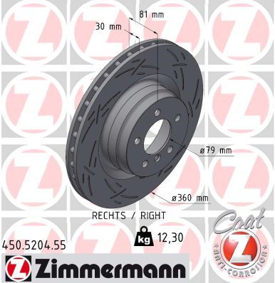 Brake Disc ZIMMERMANN 450.5204.55